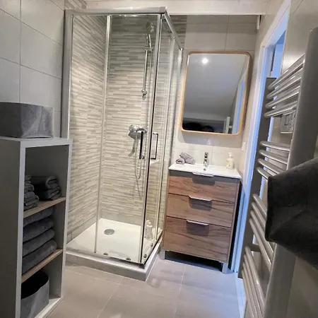Centre Charmante Duplex Lumineux * Cannes