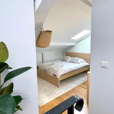 Centre Charmante Duplex Lumineux *